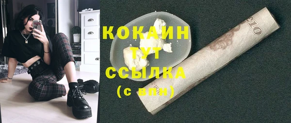 PSILOCYBIN Армянск