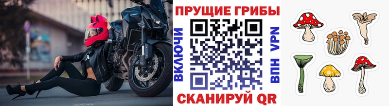 Галлюциногенные грибы ЛСД  хочу наркоту  Новодвинск 