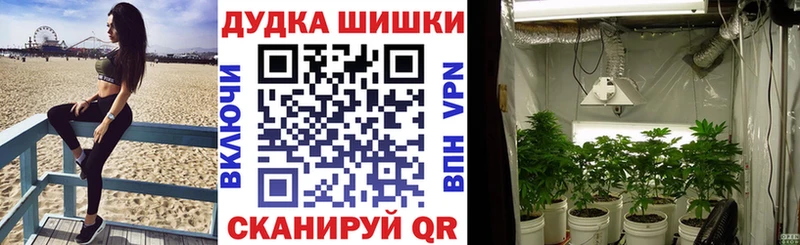 blacksprut   Новодвинск  Конопля MAZAR 